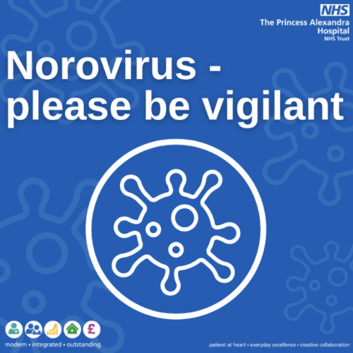 Microscopic image of the Norovirus, showing its round shape and textured surface. Used to highlight infection prevention and public health awareness.