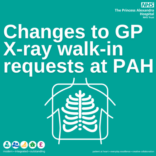 X ray image concept of a torso